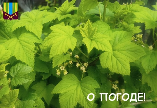 Предупреждение о неблагоприятных метеорологических явлениях погоды