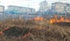 Начались профилактические отжиги