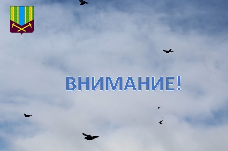 Предупреждение об опасных и неблагоприятных метеорологических явлениях погоды