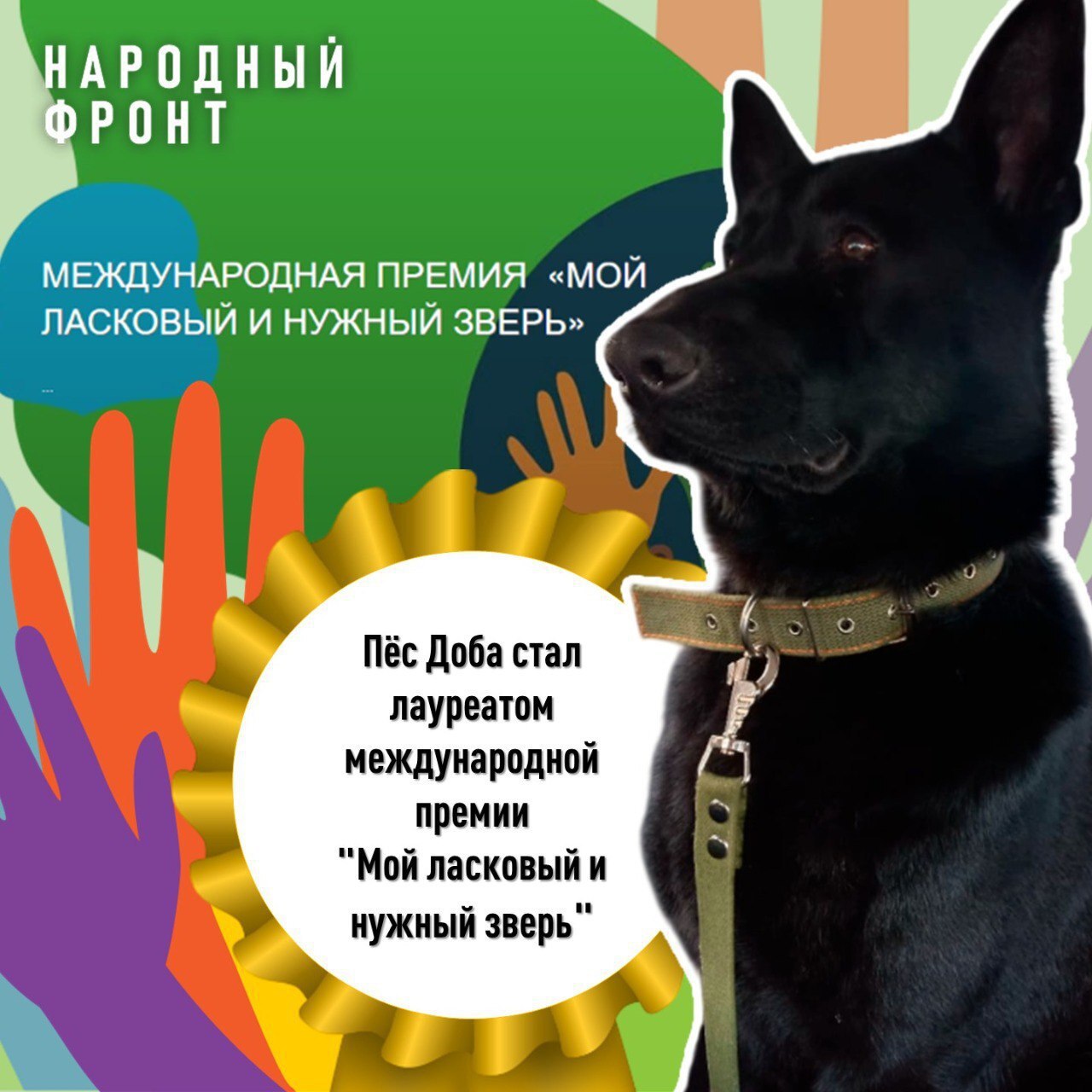 История пса Добы, который спас на СВО шесть человек ценой своей жизни, глубоко тронула жюри международной премии.
