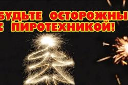 В преддверии новогодних праздников многие приобретают петарды и фейерверки. 