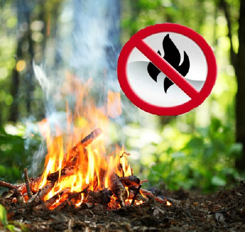 Ответственность за лесные пожары