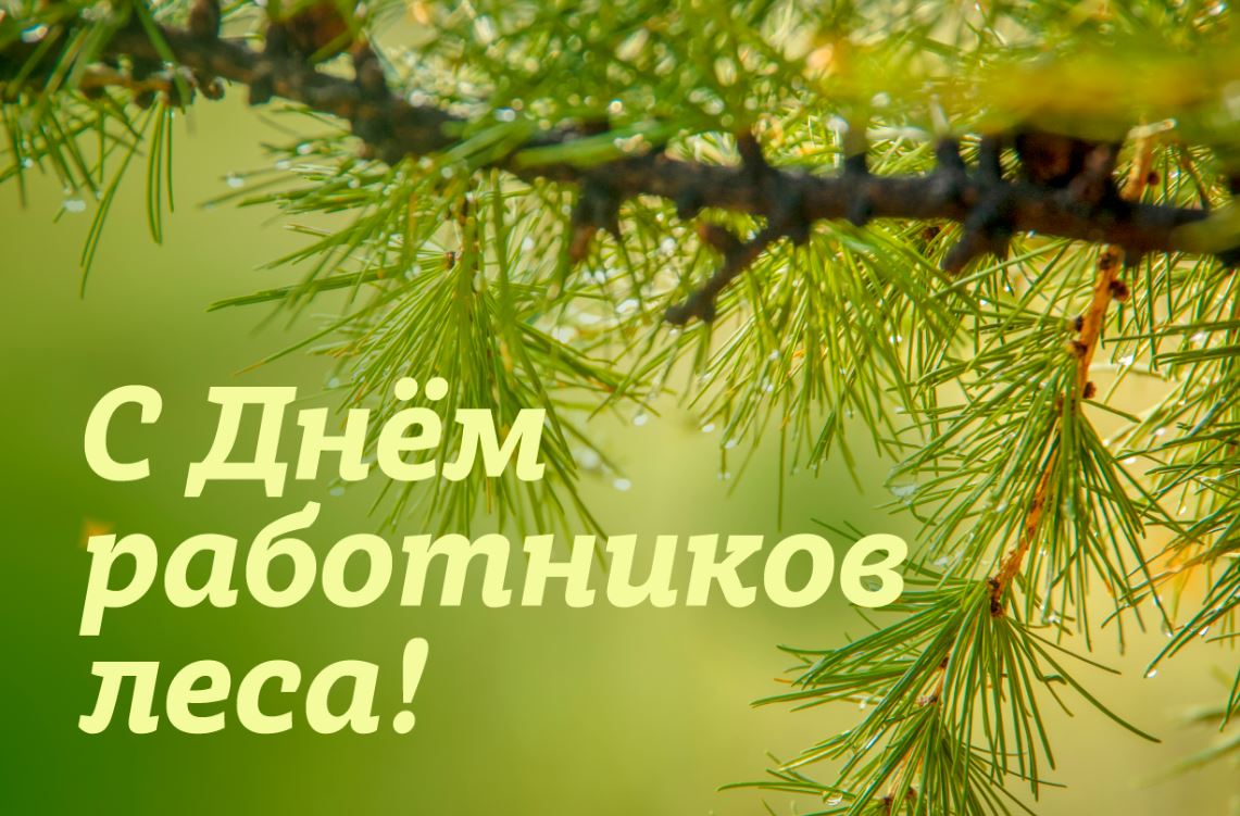 Поздравляем с Днем работников леса!