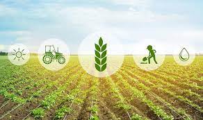 «Агробизнес-образование: воспитание гражданина, труженика села, рачительного хозяина земли»