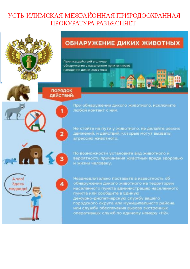 Обнаружение диких животных