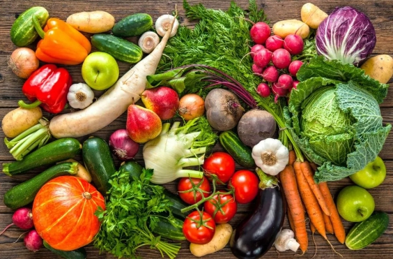 О проведении месячника качества и безопасности ранних овощей и фруктов и работе «горячей линии»