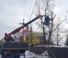 В Октябрьском возле домов двух пенсионерок убрали опасные деревья