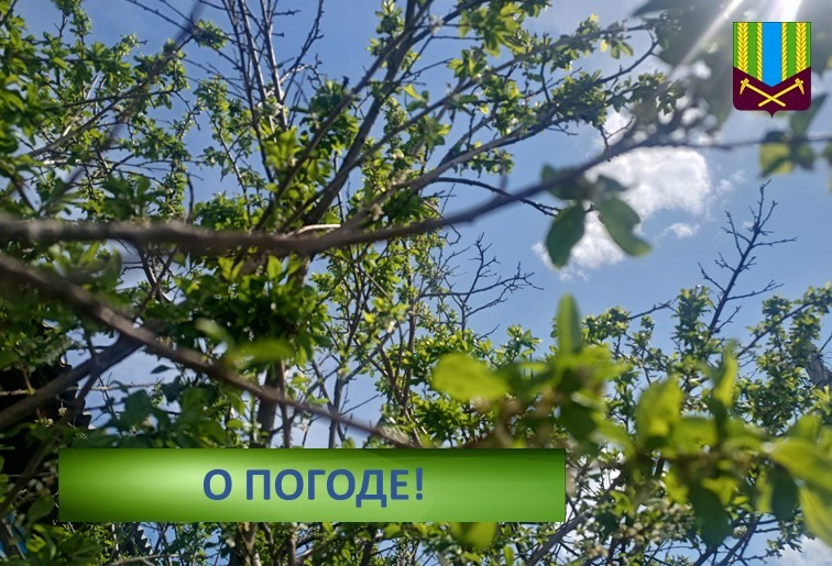 Предупреждение об опасных и неблагоприятных метеорологических явлениях погоды