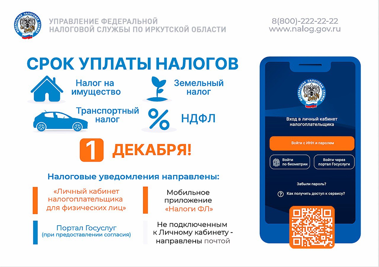 Срок уплаты налогов 1 декабря 