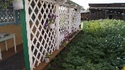 _DSC0251.JPG