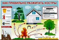 Сжигание мусора на дачных и садовых участках: правила, условия и штрафы
