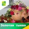 Впервые в Чунском районе прошел конкурс на самую большую тыкву с главным призом от мэра района в 10 000 рублей! 