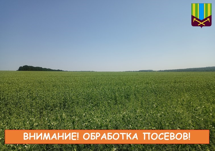 Внимание! Продолжается пестицидная обработка посевов!