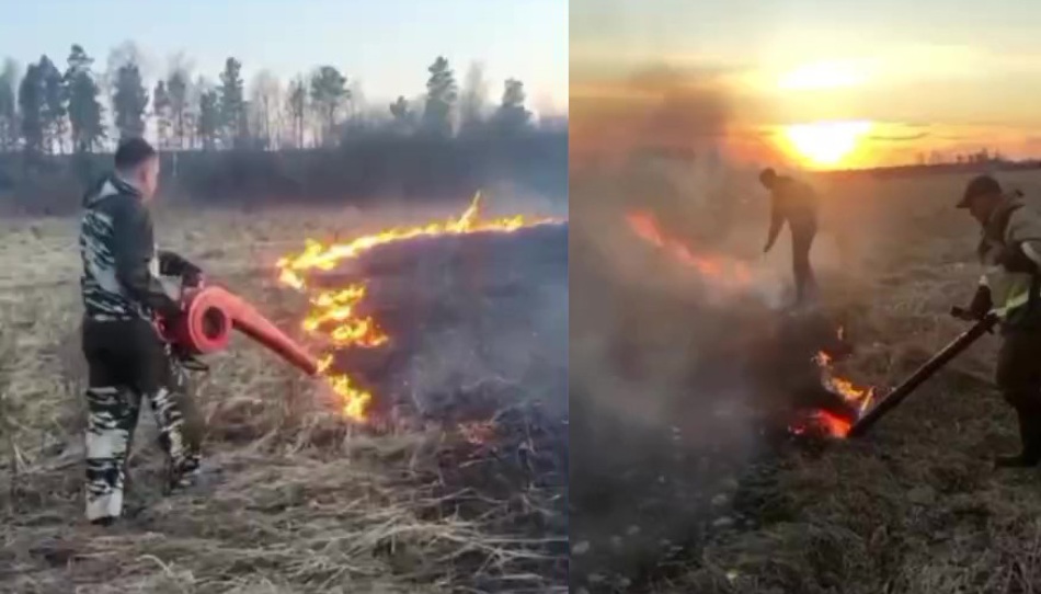 Силами муниципальной пожарной охраны ликвидирован ландшафтный пожар