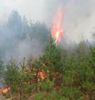Лесопожарный сезон в округе завершен