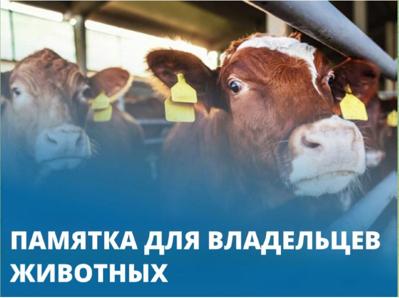 Памятка для владельцев животных Как защитить своих животных от опасных инфекций и сохранить их здоровье