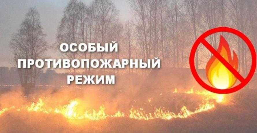  В лесах района потушили восьмой пожар