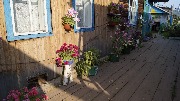 _DSC0261.JPG