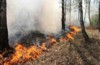 В округе идет подготовка к лесопожарному сезону
