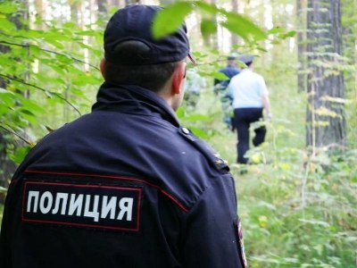 Грибы, ягоды и … «потеряшки»