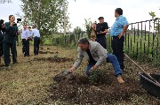 IMG_1511.JPG