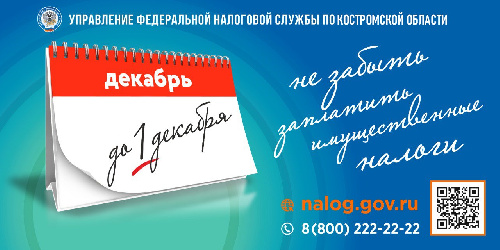 СРОК УПЛАТЫ НАЛОГОВ ДО 1  ДЕКАБРЯ