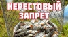 Внимание, нерестовый период!