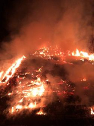 101 информирует (за период с 29 сентября по 06 октября 2025 года)