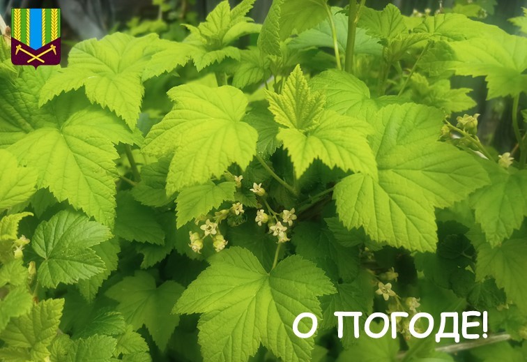 Предупреждение об опасных и неблагоприятных метеорологических явлениях погоды