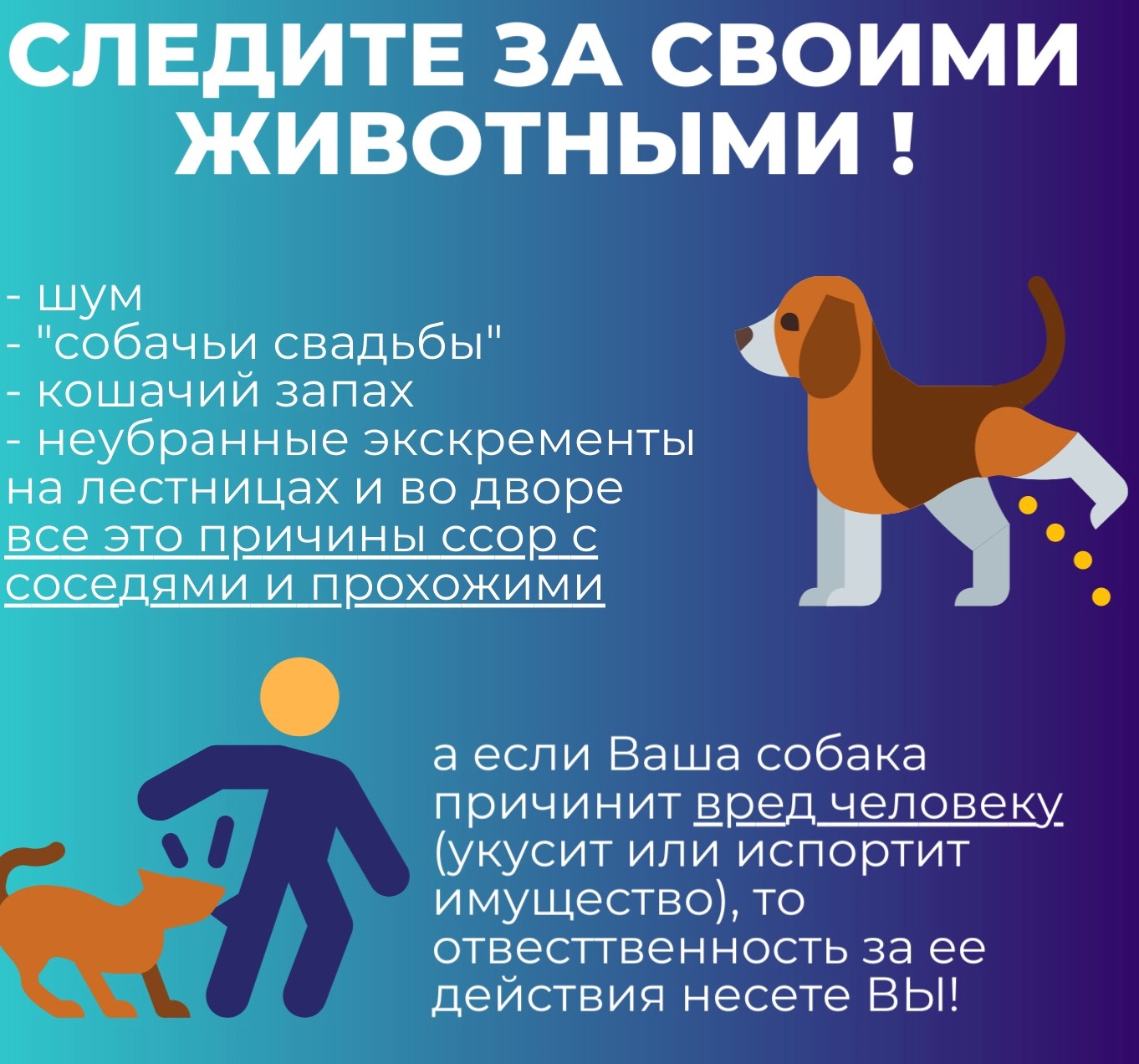 Информационное письмо «О недопустимости нарушения законодательства в области обращения с животными
