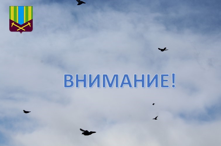 Предупреждение об опасных и неблагоприятных метеорологических явлениях погоды