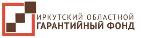 Иркутский областной гарантийный фонд проведет онлайн-трансляцию на тему «Проведи это лето с пользой. Узнай о профессии от первых лиц»