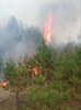 Число лесных пожаров в районе достигло 39