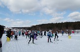 Дан старт в женском забеге лыжных гонок