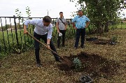 IMG_1510.JPG