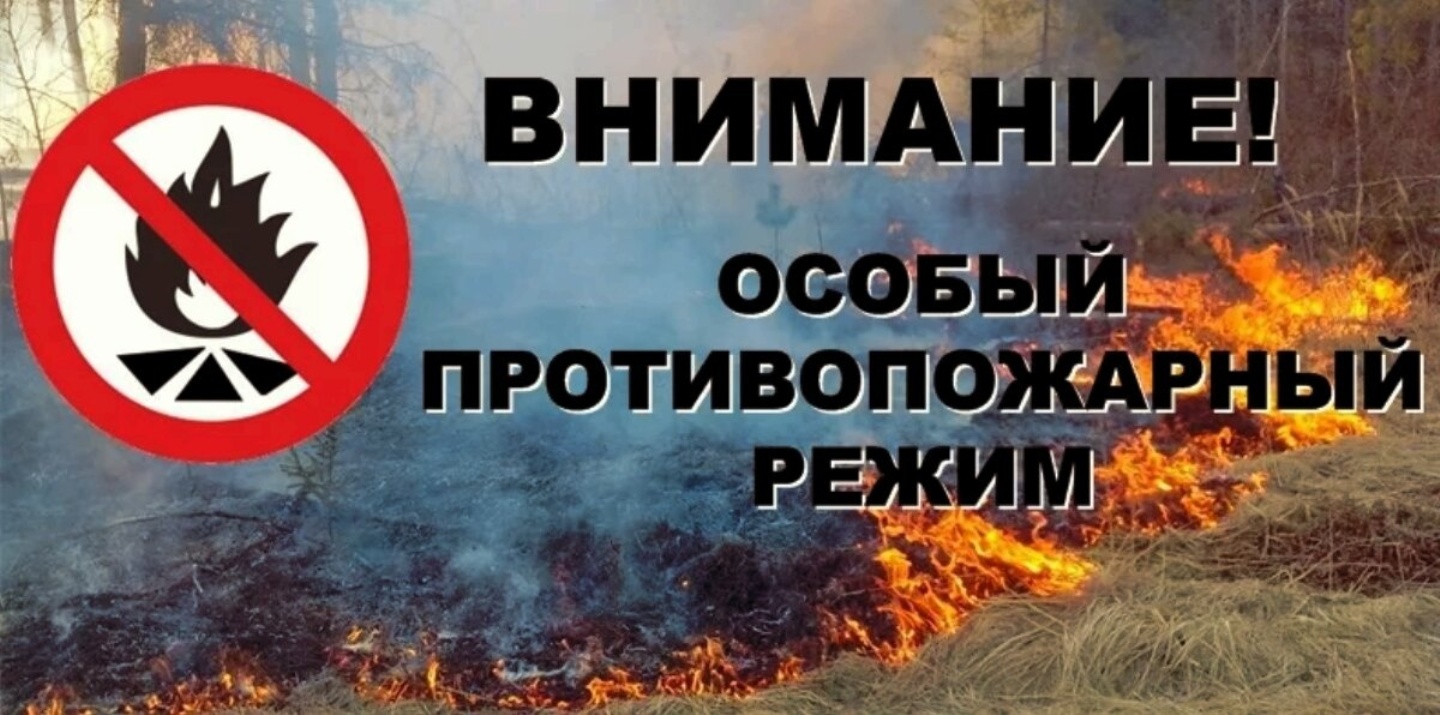 В южных и центральных районах Иркутской области с 10 апреля вводится особый противопожарный режим!