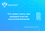 Что нужно знать при продаже участка сельхозназначения