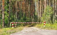 Доступ в леса Иркутской области ограничили до 21 августа