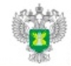 ПАМЯТКА О ЗАПРЕТЕ ОТЖИГА СУХОЙ РАСТИТЕЛЬНОСТИ