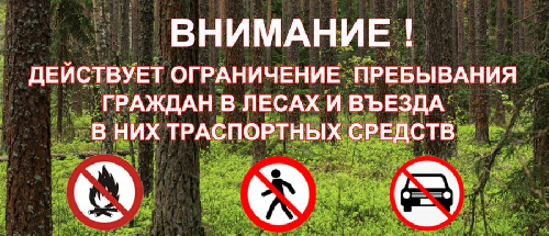 О введении ограничения пребывания граждан в лесах!