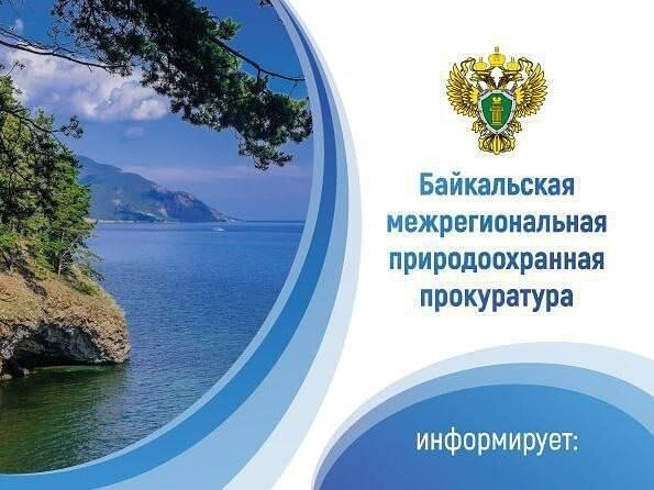 В Иркутской области по иску природоохранного прокурора договор купли-продажи лесных насаждений для собственных нужд признан недействительным В Иркутской области по иску природоохранного прокурора договор купли-продажи лесных насаждений для собственных нужд признан недействительным