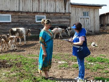 В Тайшетском районе началась подготовка к сельскохозяйственной микропереписи
