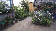 _DSC0267.JPG