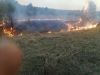 В округе ликвидирован шестой с начала сезона лесной пожар