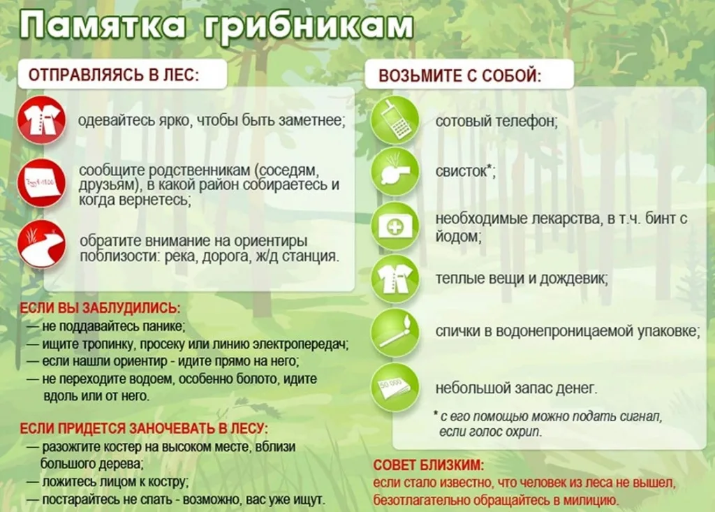 Лес это - место повышенной опасности.