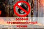 В округе вводится особый противопожарныый режим