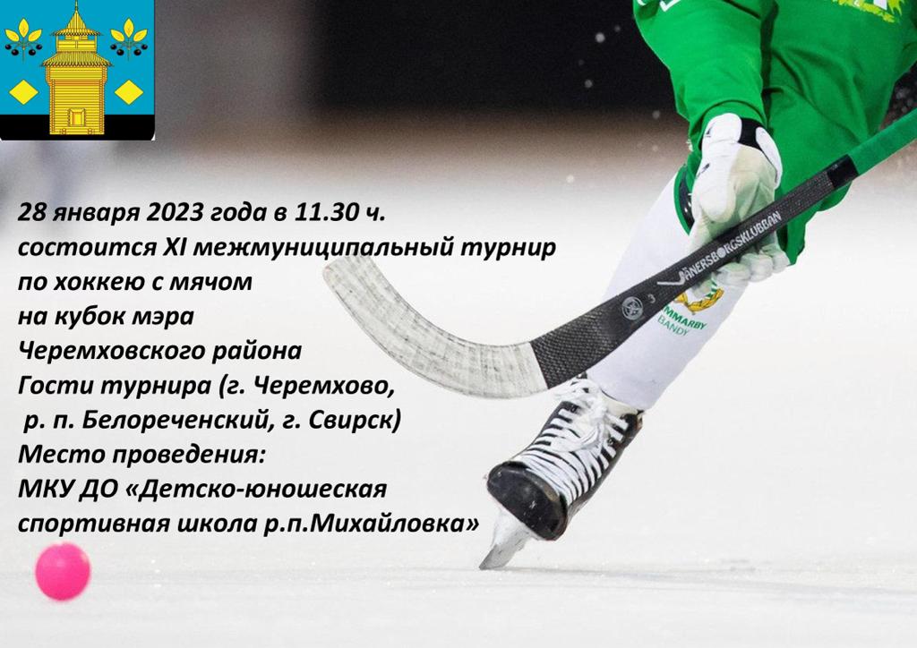 XI межмуниципальный турнир по хоккею с мячом на кубок мэра Черемховского района
