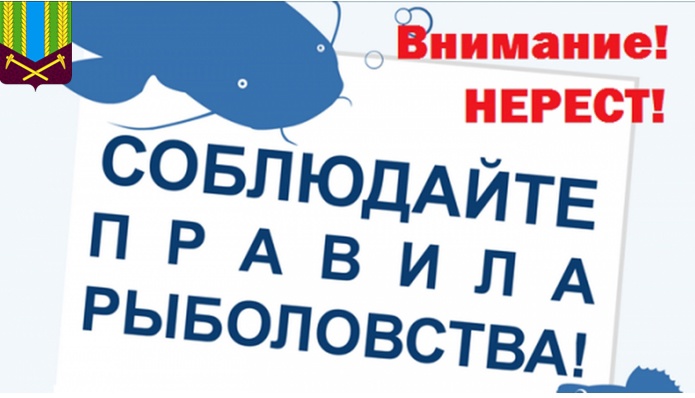 Внимание рыбодобывающих организаций и рыболовов-любителей!
