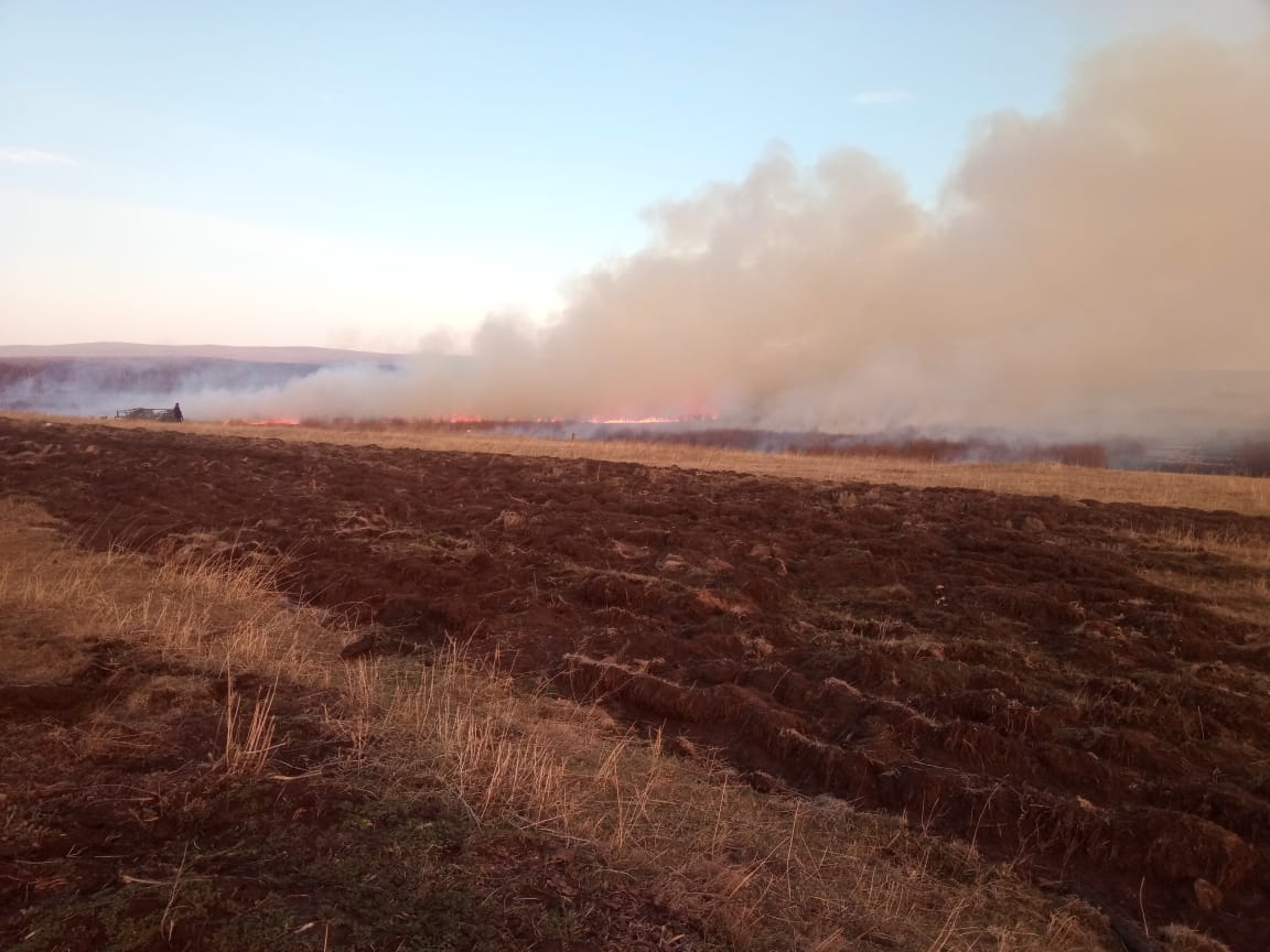 На территории Качугского района на 27.04.2020 г. действует 6 лесных пожаров