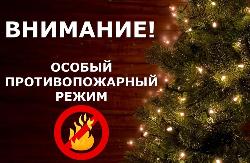 На территории Иркутской области с 29 декабря вводится особый противопожарный режим